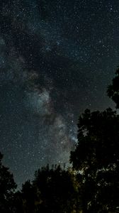 Preview wallpaper starry sky, milky way, trees, night, stars