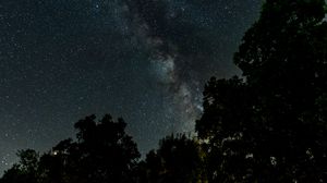 Preview wallpaper starry sky, milky way, trees, night, stars