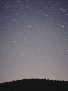 Preview wallpaper starry sky, movement, stars, trees