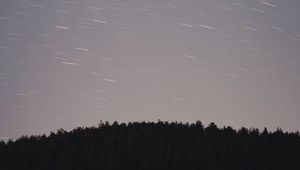 Preview wallpaper starry sky, movement, stars, trees