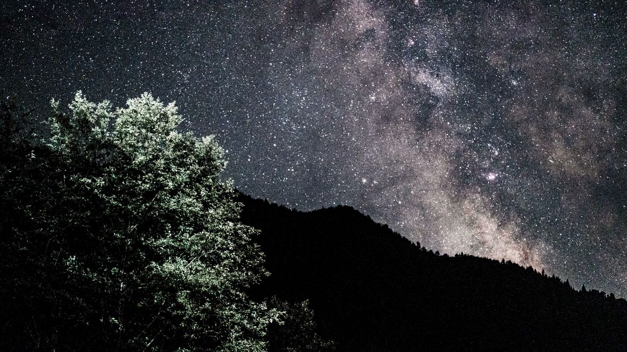 Wallpaper starry sky, nebula, bushes, stars, hills