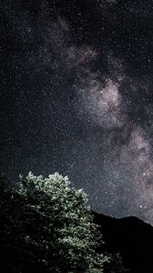 Preview wallpaper starry sky, nebula, bushes, stars, hills