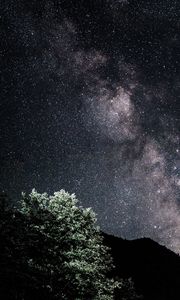 Preview wallpaper starry sky, nebula, bushes, stars, hills