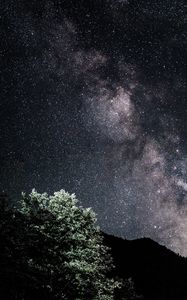 Preview wallpaper starry sky, nebula, bushes, stars, hills