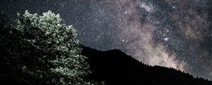 Preview wallpaper starry sky, nebula, bushes, stars, hills