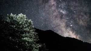 Preview wallpaper starry sky, nebula, bushes, stars, hills