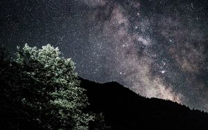 Preview wallpaper starry sky, nebula, bushes, stars, hills