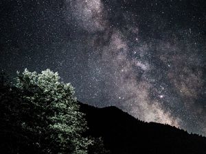 Preview wallpaper starry sky, nebula, bushes, stars, hills