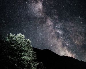 Preview wallpaper starry sky, nebula, bushes, stars, hills