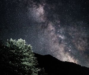 Preview wallpaper starry sky, nebula, bushes, stars, hills