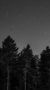 Preview wallpaper starry sky, night, bw