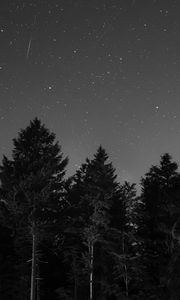 Preview wallpaper starry sky, night, bw
