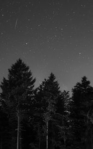 Preview wallpaper starry sky, night, bw