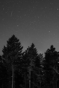 Preview wallpaper starry sky, night, bw