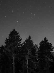 Preview wallpaper starry sky, night, bw