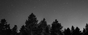 Preview wallpaper starry sky, night, bw