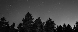 Preview wallpaper starry sky, night, bw