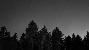 Preview wallpaper starry sky, night, bw