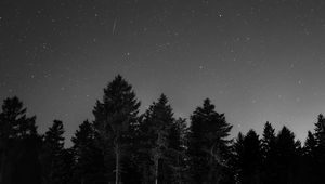 Preview wallpaper starry sky, night, bw