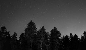 Preview wallpaper starry sky, night, bw