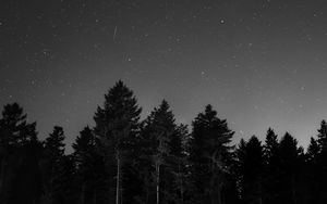 Preview wallpaper starry sky, night, bw