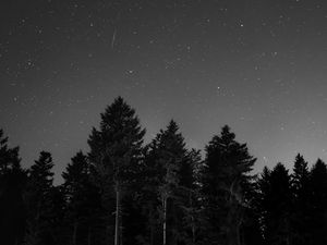 Preview wallpaper starry sky, night, bw