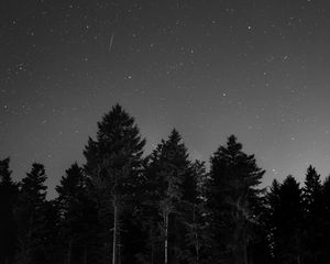 Preview wallpaper starry sky, night, bw