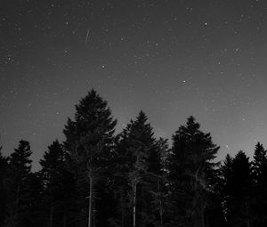 Preview wallpaper starry sky, night, bw