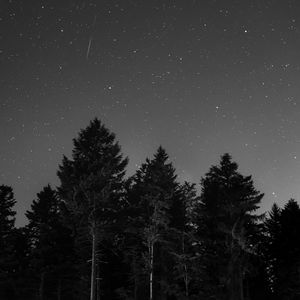 Preview wallpaper starry sky, night, bw