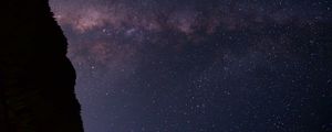 Preview wallpaper starry sky, night, forest, stars