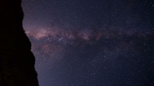 Preview wallpaper starry sky, night, forest, stars