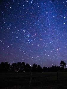Preview wallpaper starry sky, night, glitter, purple