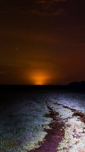Preview wallpaper starry sky, night, horizon, grass, light