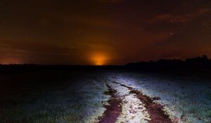 Preview wallpaper starry sky, night, horizon, grass, light