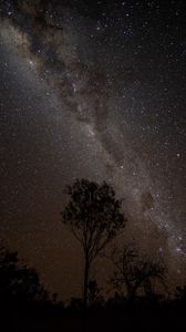 Preview wallpaper starry sky, night, milky way, trees, outlines, stars