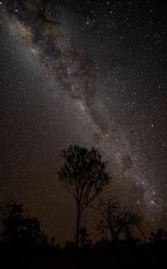 Preview wallpaper starry sky, night, milky way, trees, outlines, stars