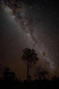 Preview wallpaper starry sky, night, milky way, trees, outlines, stars