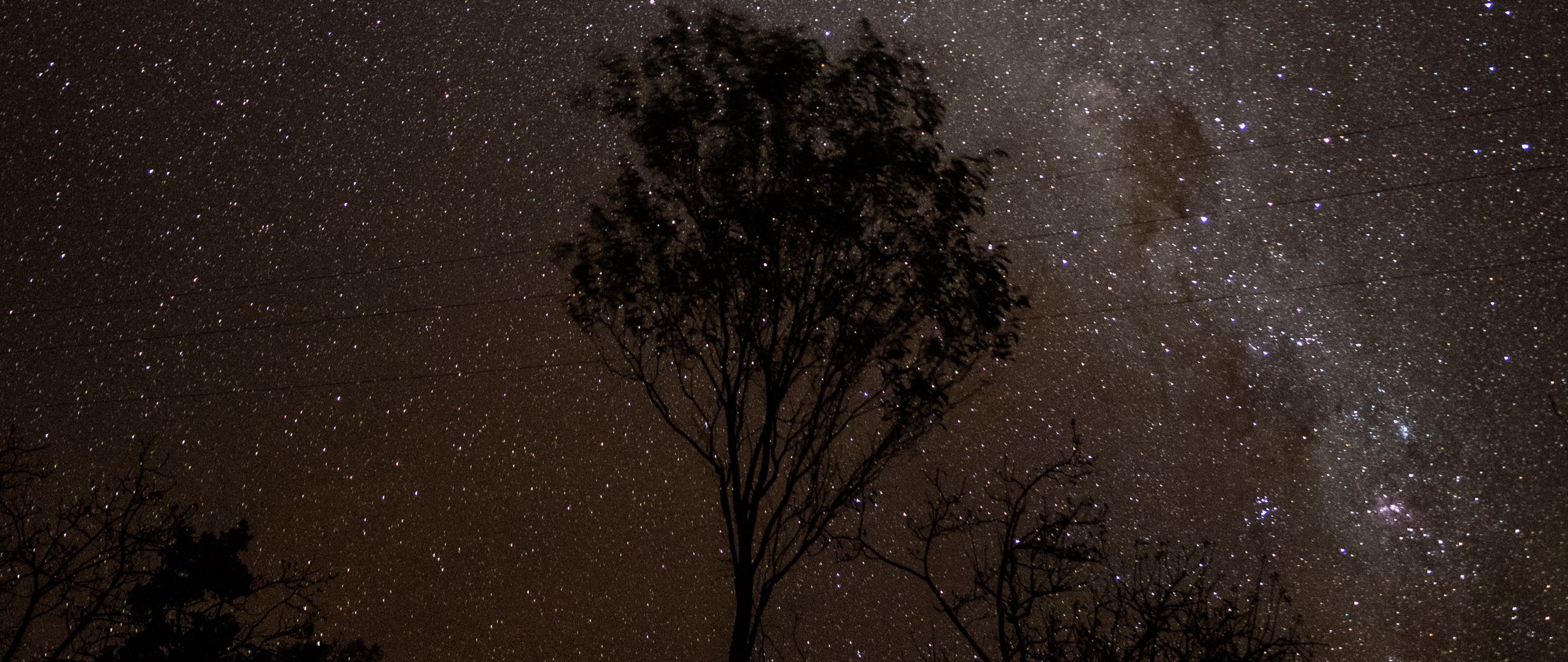 2560x1080 Wallpaper starry sky, night, milky way, trees, outlines, stars