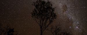 Preview wallpaper starry sky, night, milky way, trees, outlines, stars