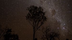 Preview wallpaper starry sky, night, milky way, trees, outlines, stars