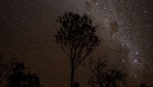 Preview wallpaper starry sky, night, milky way, trees, outlines, stars