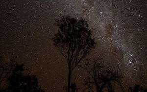 Preview wallpaper starry sky, night, milky way, trees, outlines, stars