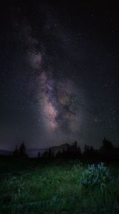 Preview wallpaper starry sky, night, mountains, grass, milky way