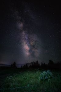 Preview wallpaper starry sky, night, mountains, grass, milky way