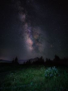 Preview wallpaper starry sky, night, mountains, grass, milky way