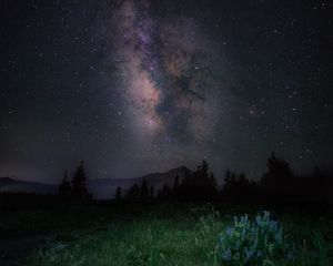 Preview wallpaper starry sky, night, mountains, grass, milky way