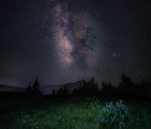 Preview wallpaper starry sky, night, mountains, grass, milky way