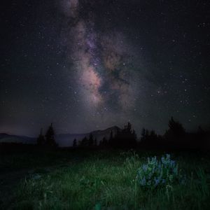 Preview wallpaper starry sky, night, mountains, grass, milky way