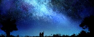 Preview wallpaper starry sky, night, silhouettes, dark, art