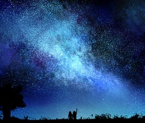 Preview wallpaper starry sky, night, silhouettes, dark, art